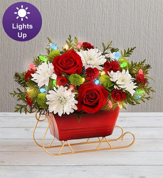 Dashing Through the Snow Sleigh2 Davenport Florist - Same Day Flower Delivery - Flower Power 